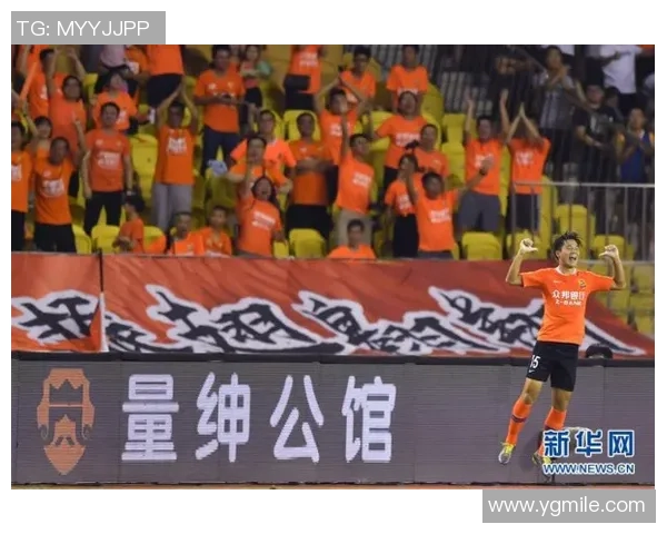 武汉羽毛球队的精神探源与发展之路揭秘